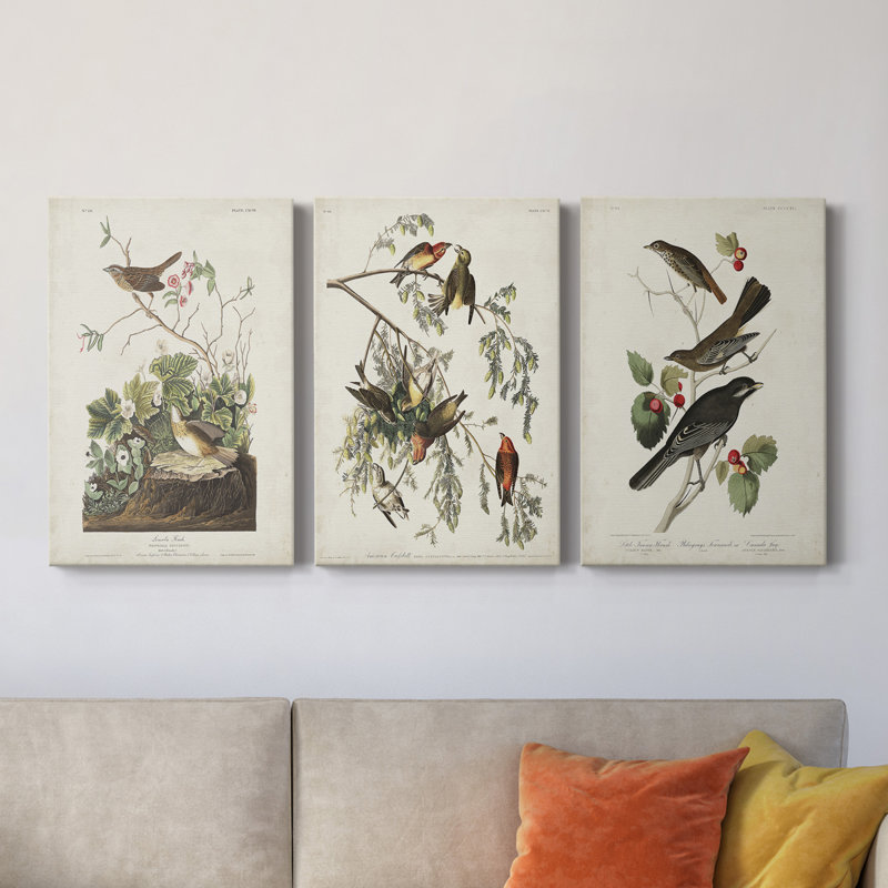 Pl 190 Lincoln Finch - ensemble de 3 impressions sur toile tendue, H 36 po x l 72 po x P 1 po