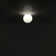 Dioscuri Flush Mount