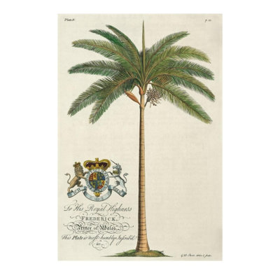 King Palm Print by Porter Design