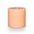 Paloma Petal selected