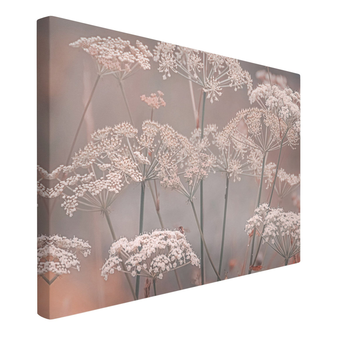 Leinwandbild Wild Umbels