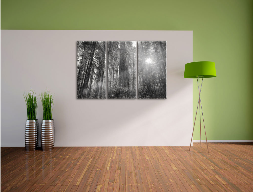 3-tlg. Leinwandbild-Set „Wald bei Sonnenlicht“, Kunstdruck