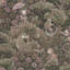 Graham & Brown Treetop Troop Damson Wallpaper-2111534102