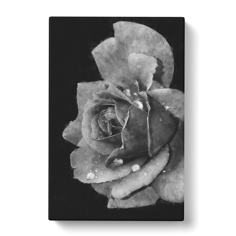 Rose Flower - Wrapped Canvas Print, 45cm H x 30cm W x 4cm D