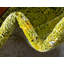 Tapis noir / jaune à motif abstrait Greydon-22505672