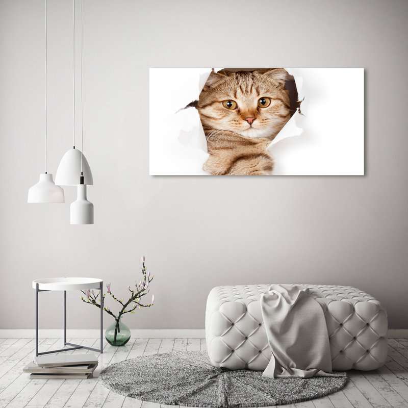 Cat - Wrapped Canvas Print