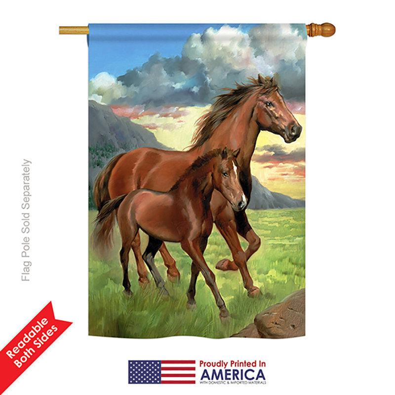 Drapeau de maison Carmack Americana, H 40 po x l 28 po