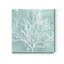 «Seaweed on Aqua II», reproduction d'art sur toile tendue-713938975