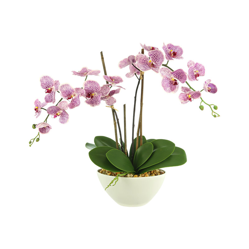 Orchid Floral Arrangement In A Ceramic Pot With Rocks, Pink