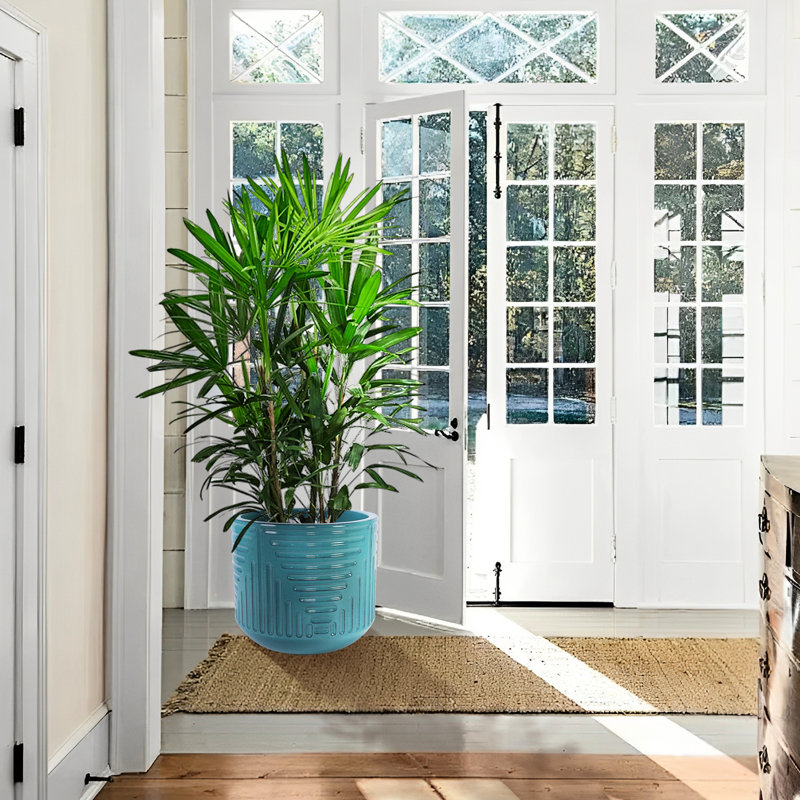 Jardinière moderne en céramique cyan avec drainage intégré, idéale pour les petites plantes, trou de drainage thermique, fleurs, herbes, verdure,
