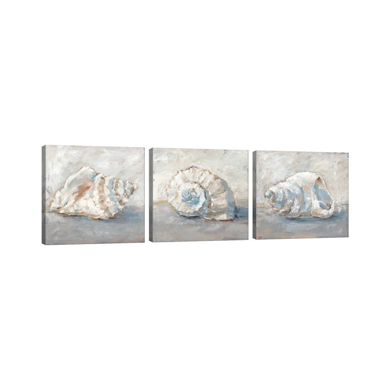 «Blue Shell Study Triptych», ensemble d'art mural sur toile tendue (ensemble de 3)
