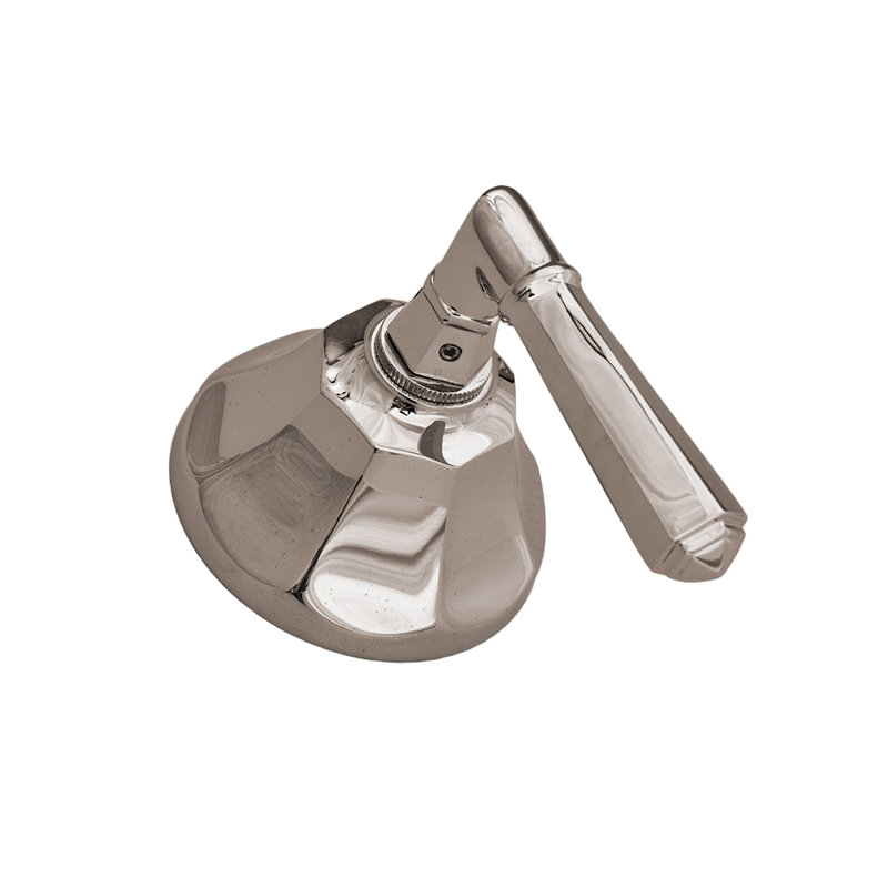 Ensemble de commande de douche avec poignée levier et laiton massif Mississippi par Strom Living, Nickel poli