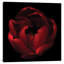 par Magda Indigo - impression d'art graphique-1575850670-1575850669-1575850666
