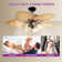 Alapaha 52'' Ceiling Fan with Light Kit