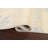 One-of-a-Kind 4'11" X 7'10" New Age Area Rug in Beige
