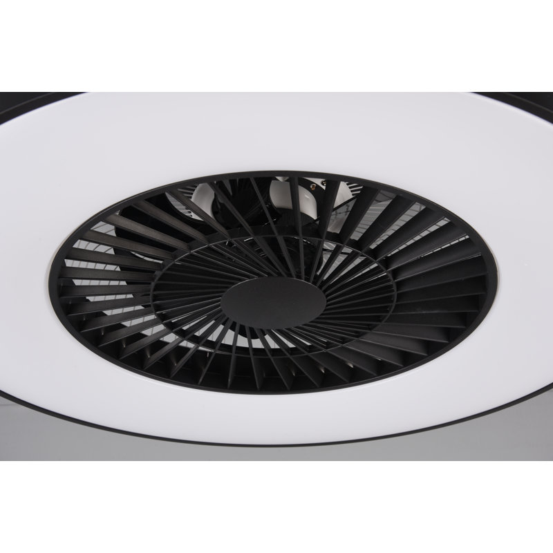 Aaleia 59cm Ceiling Fan with LED Lights