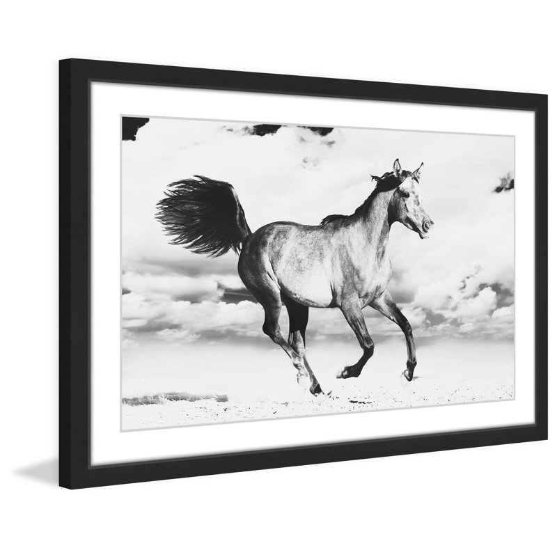 «Horse Dance» par Marmont Hill - reproduction de photo sur papier encadrée, H 16 po x l 24 po x P 1,5 po, Cadre noir