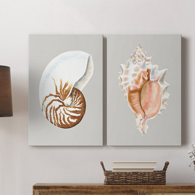 Nautilus-Premium Gallery Wrapped Canvas -Ready to Hang