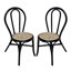 Ensemble de 2 chaises de salle à manger en rotin noir 15,5 x 20,5 x 35,5 po