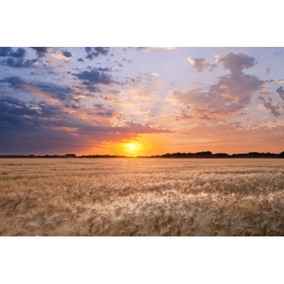 Sun Setting Over Wheat Field With Colourful Sky - Wrapped Canvas Print