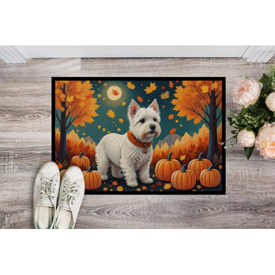 Chison Non-Slip Indoor / Outdoor Doormat
