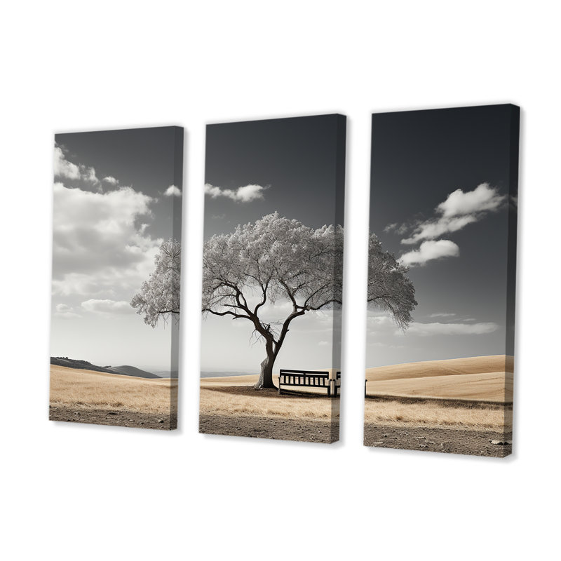 Solitude Bench Under A Monochrome Tree - Meadow Wall Art Print Set, 32" H x 48" W x 1" D