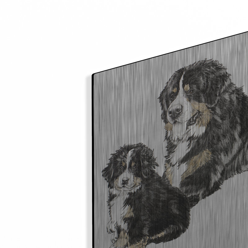 " Bernese Mountain Dog " by Barbara Keith, 12" H x 24" W