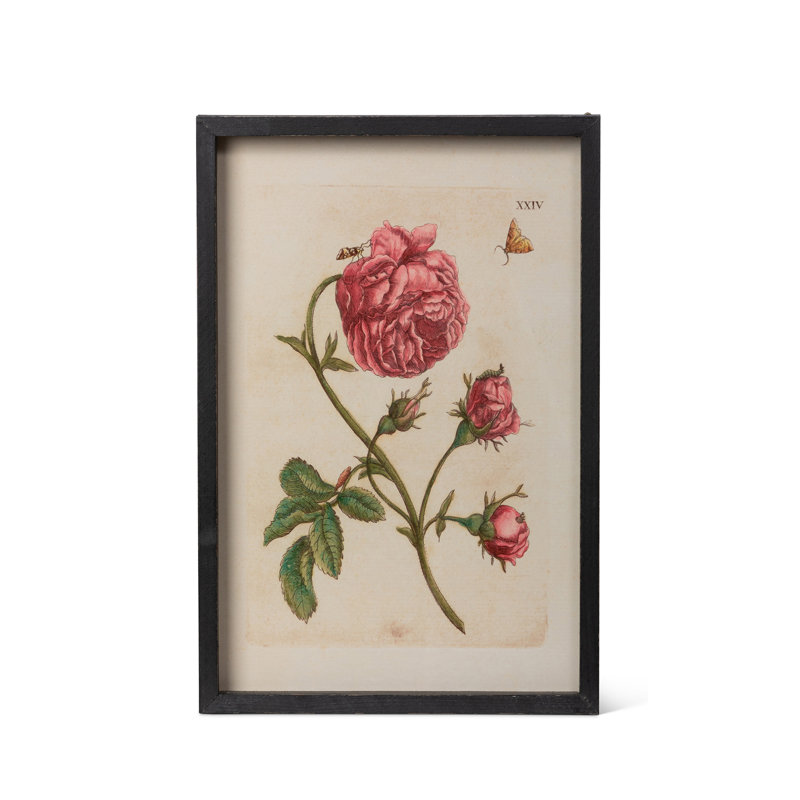 Jardin Boheme Botanical Prints