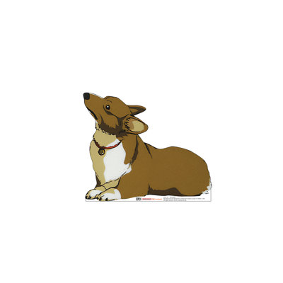 Ein (Cowboy Bebop)