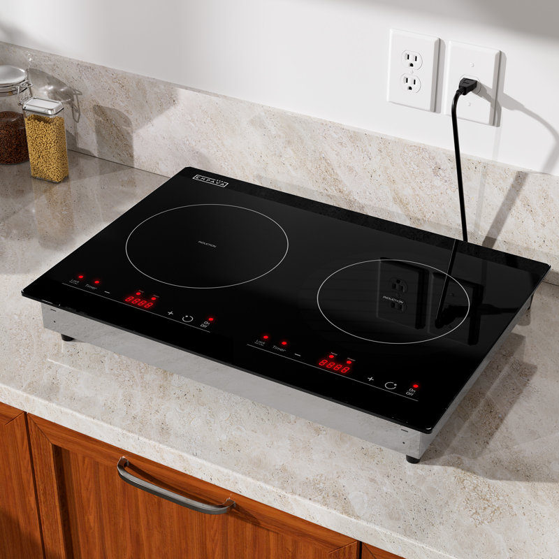 Plaque de cuisson portative à induction tactile 20,5 po avec 2 éléments