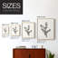 Impression florale vintage encadrée CLXVII - bois massif-474625717-474625705