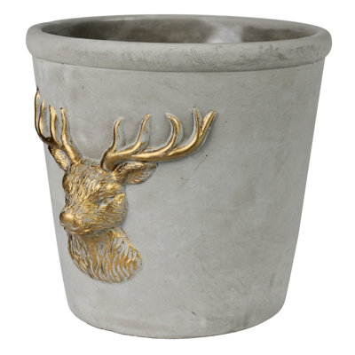 Cache-cerf, ciment