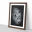 Fierce Lioness - Framed Print-56841709-56841710