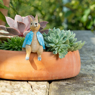 Beatrix Potter Peter Rabbit assis sur un pot Pot Buddy Pot dans une boîte cadeau