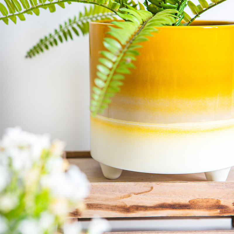 Ceramic Pot Planter, Yellow, 17.5cm H x 18cm W x 18cm D