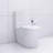 Elongated One Piece Toilet