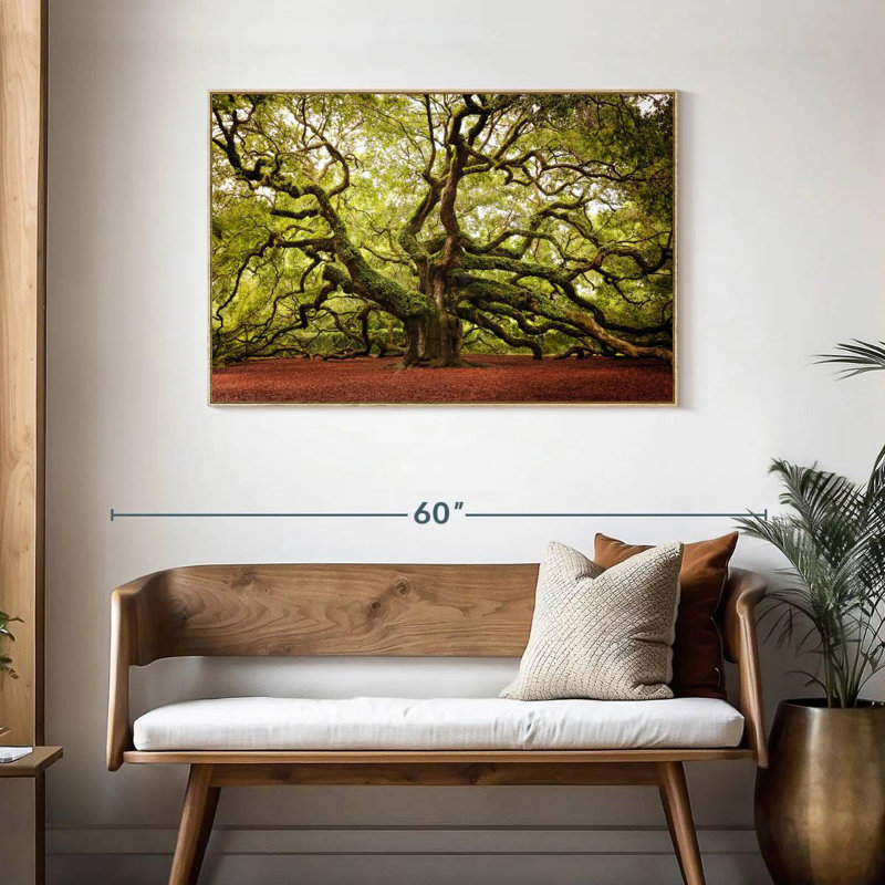 Chêne Charleston Angel, Cadre flottant en bois naturel, 43 po x 29 po