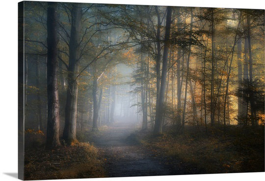 «Straub Autumn Symphony» par Norbert Maier - photographie, H 24 po x l 36 po x P 1,5 po, Toile