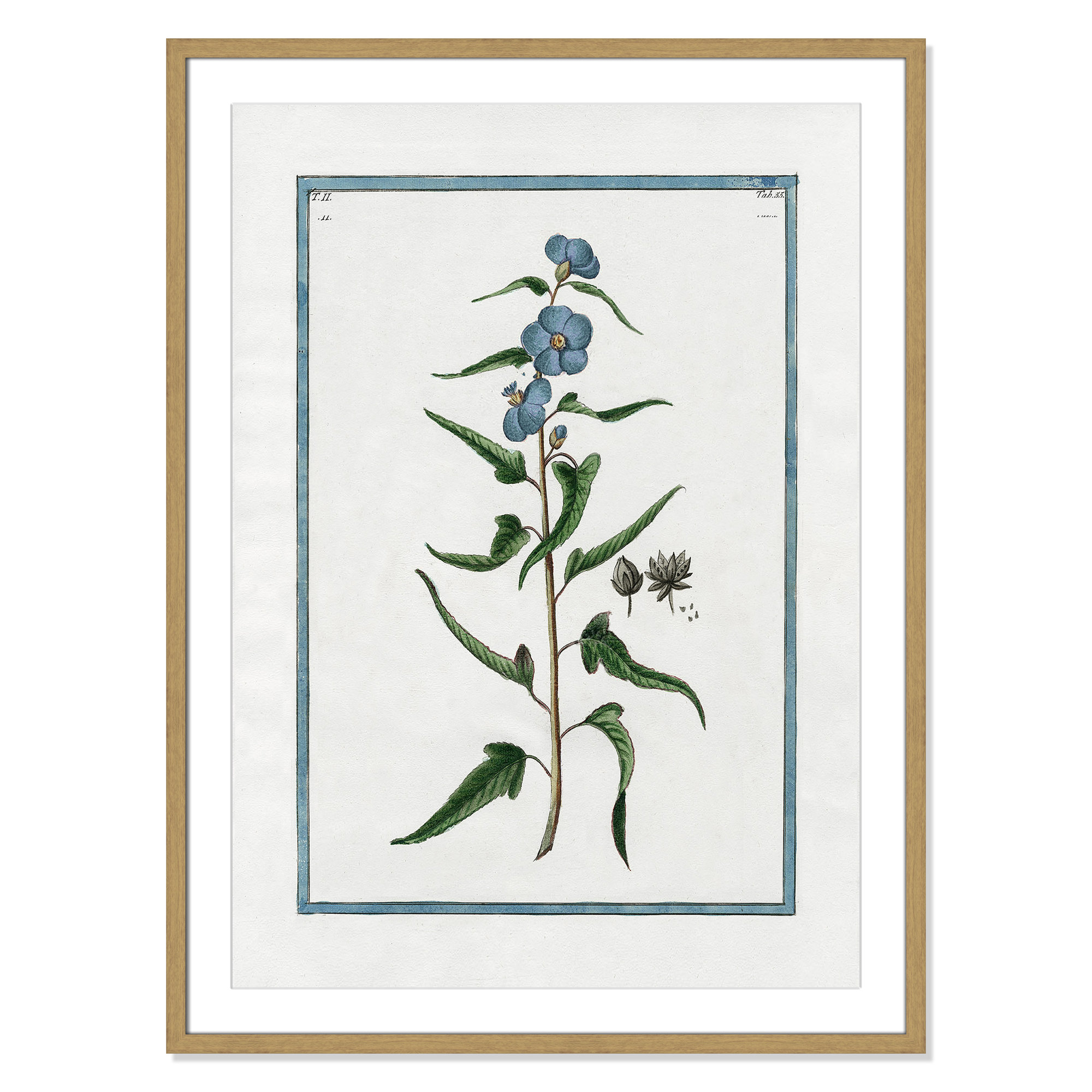 Shabby Elegance Botanical I - Framed Art Full Bleed, Natural Framed, 25.5" W x 35.5" H