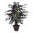Artificial Capensia Executive Potted Tree-1240263423