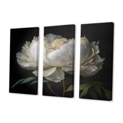 Blooming White Peony VI - 3 impressions sur toile tendue