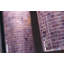 Mirtillo 5/8" x 5/8" Glimmer Glass Mosaic