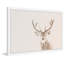 Parvez Taj - Single Picture Frame Print-19701347