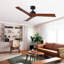 Ventilateur de plafond 52 po noir Lowe