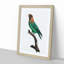 Caica Parrot by F. Levaillant - Picture Frame Painting Print-55513965-55513966