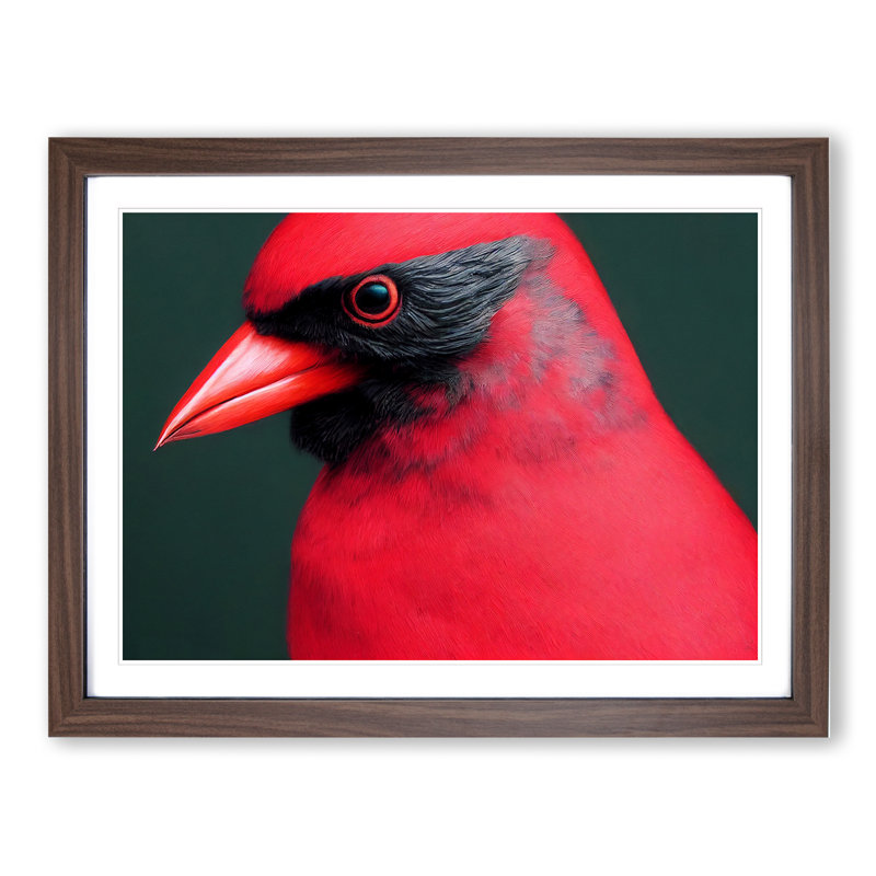 Cardinal Bird Vol.17 - Single Picture Frame Print, 46cm H x 64cm W x 2cm D, Walnut Framed