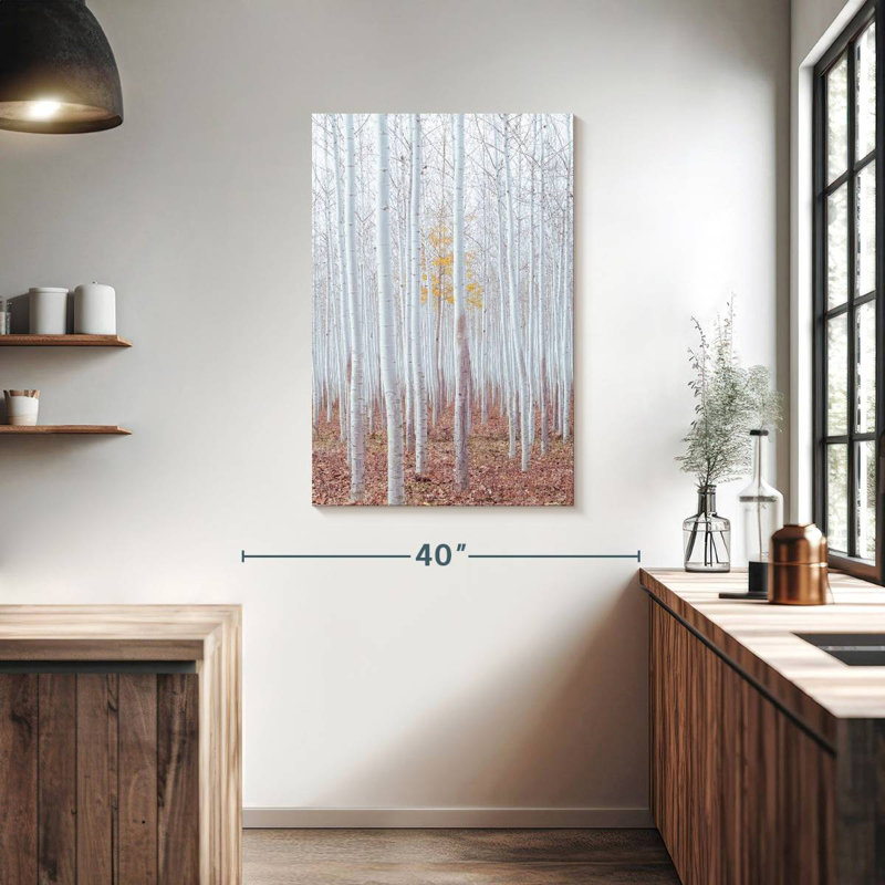 Harnek Birch Trees In Autumn, 39" H x 26" W