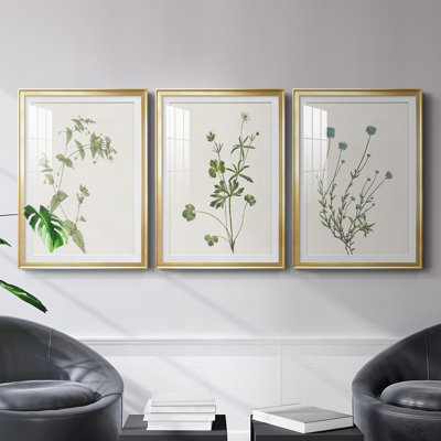 «Wispy Botanical I», reproduction encadrée de qualité supérieure - prête à être accrochée