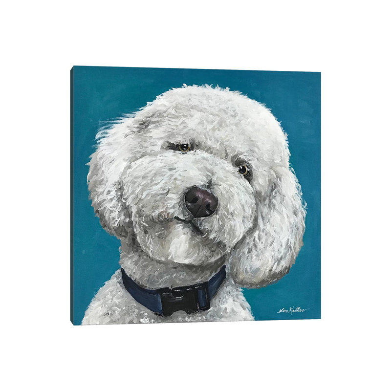 Goldendoodle On Teal by Hippie Hound Studios - Wrapped Canvas Painting, 30.48 cm H x 30.48 cm W