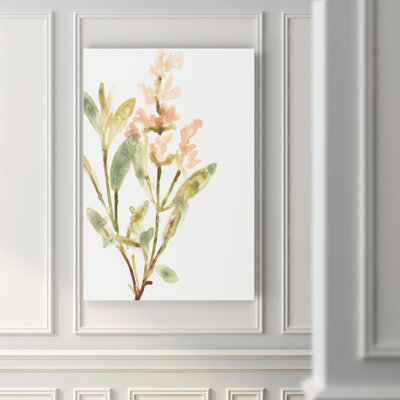 Earthtone Herbs IV - Wrapped Canvas Print